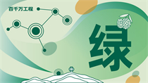 綠